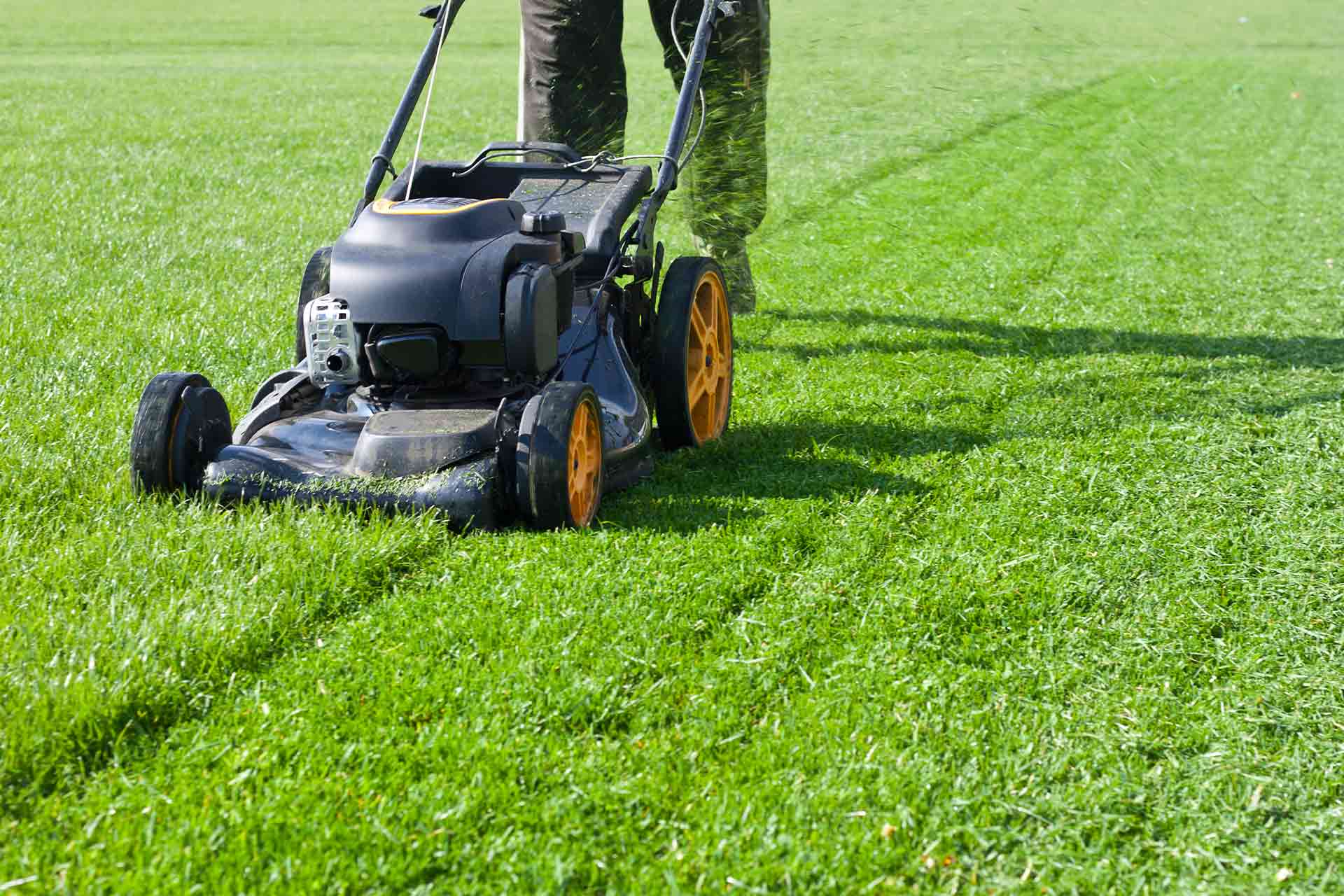 Lawn-mower-on-grass