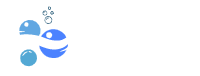 ARILICA SERVICE